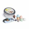 Discovery Set Bird Eggs